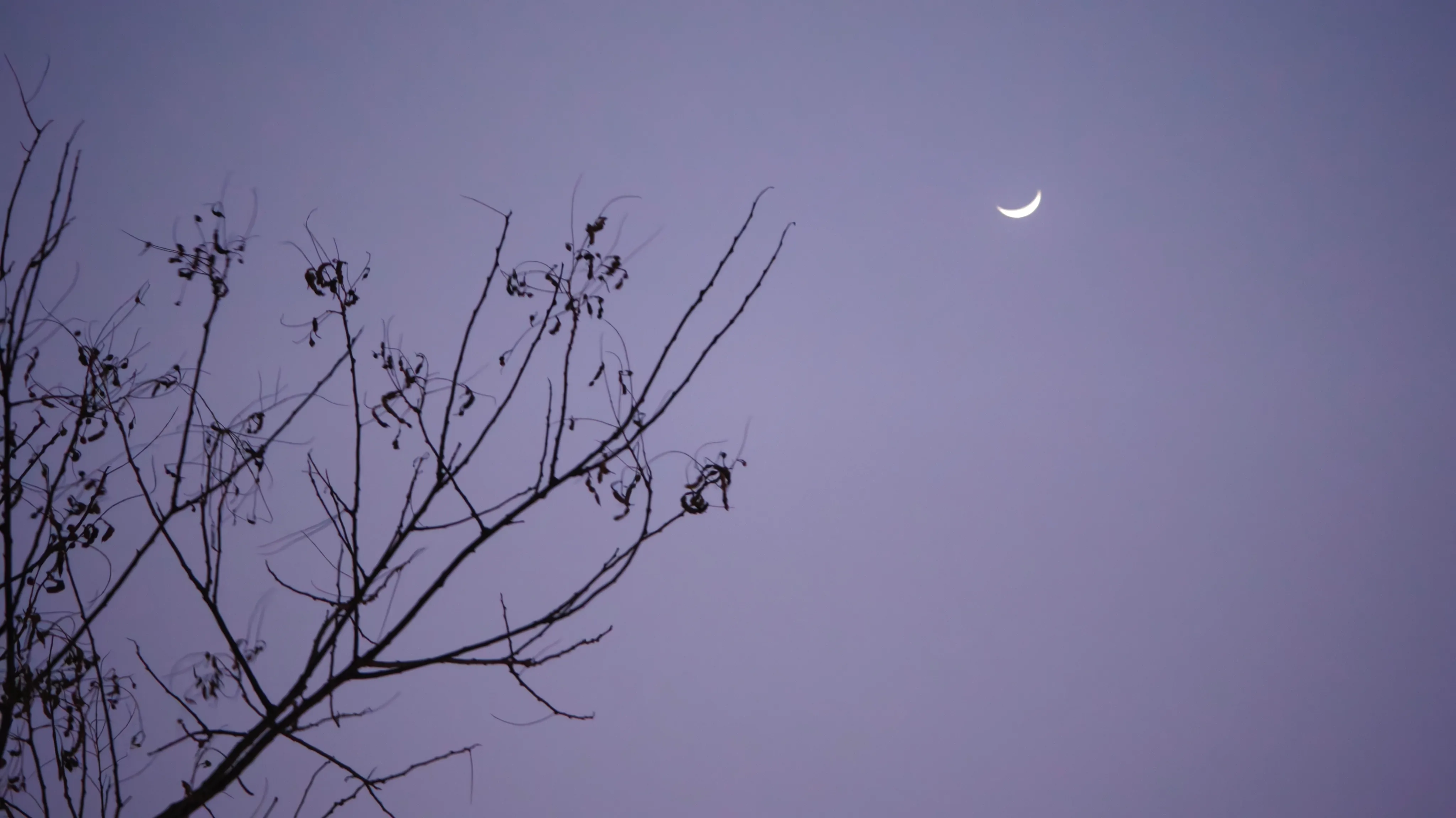 MVIMG_20260221_181549