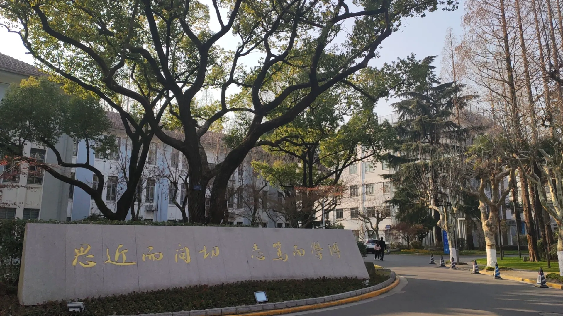 mmexport1737342288279